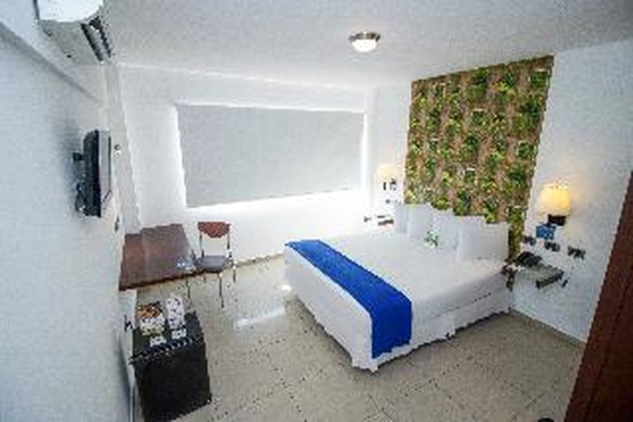 photo-1