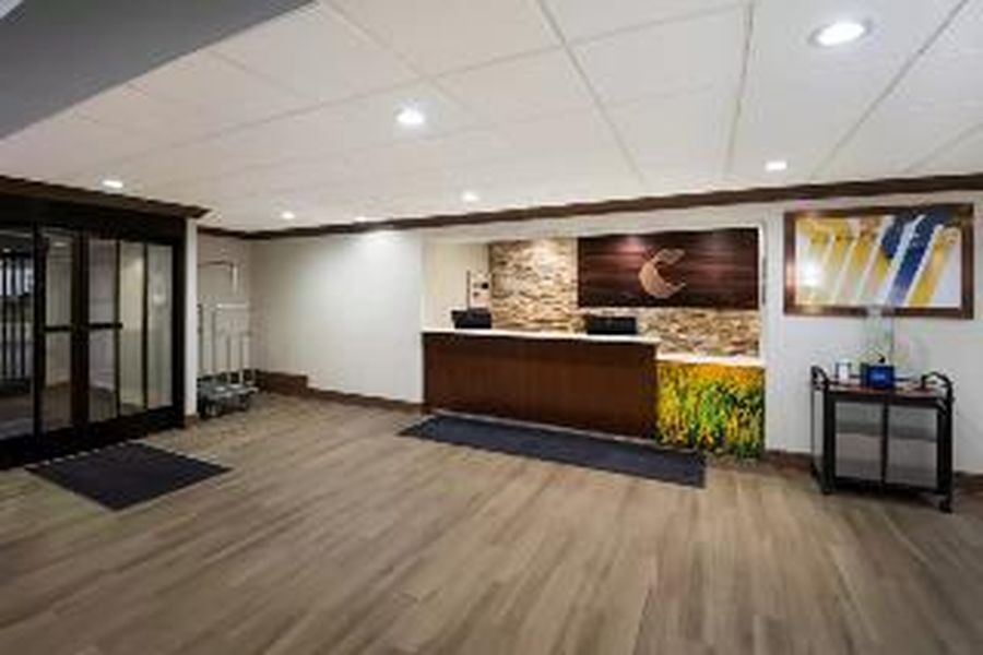 photo-2