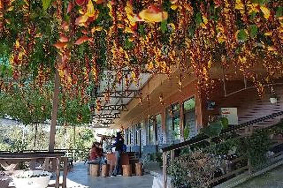 photo-1