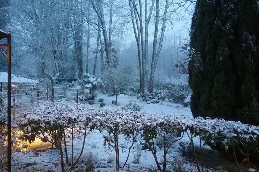 foto-1