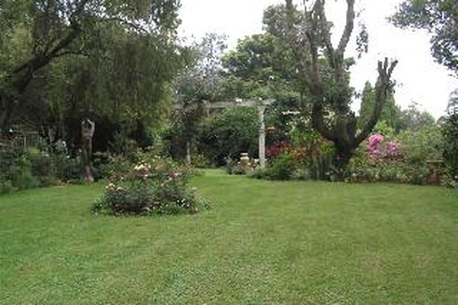 foto-3