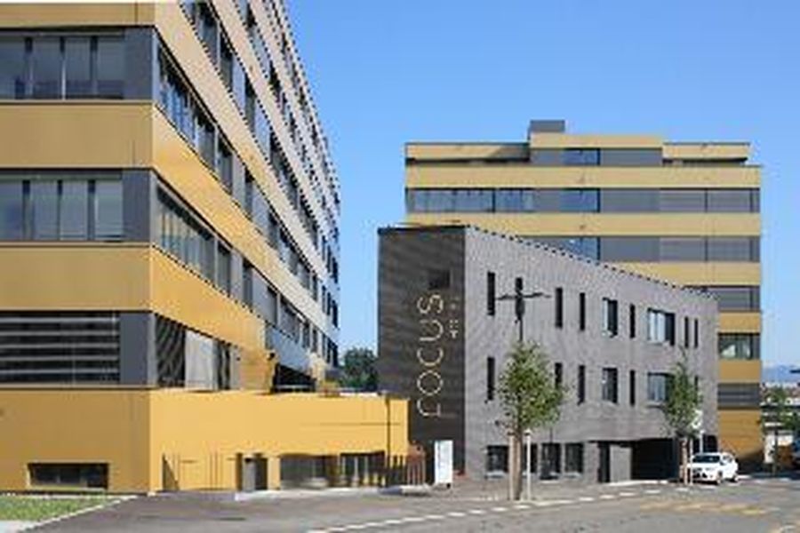 photo-3