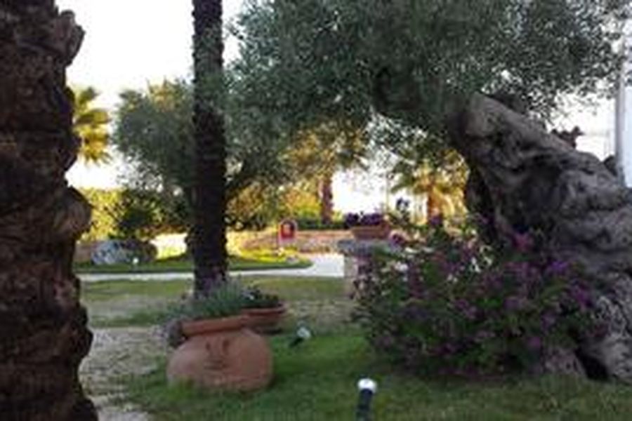 foto-2