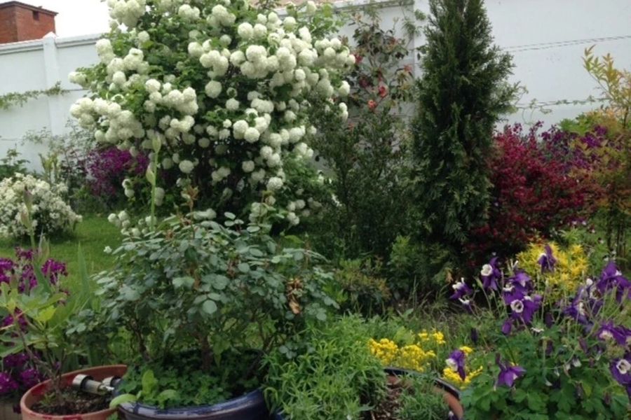 photo-3