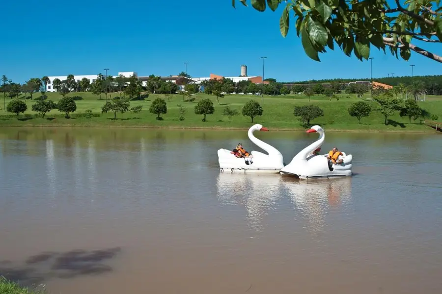 foto-1