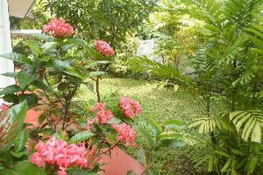 foto-3