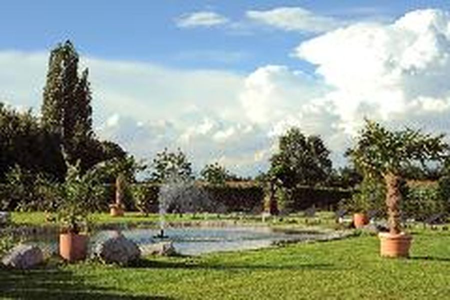 photo-1
