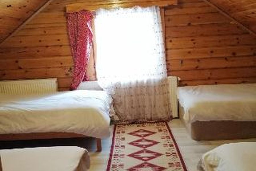 foto-1