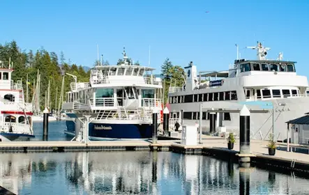 Vancouver: Crucero con brunch