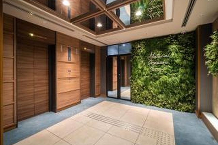 photo-1