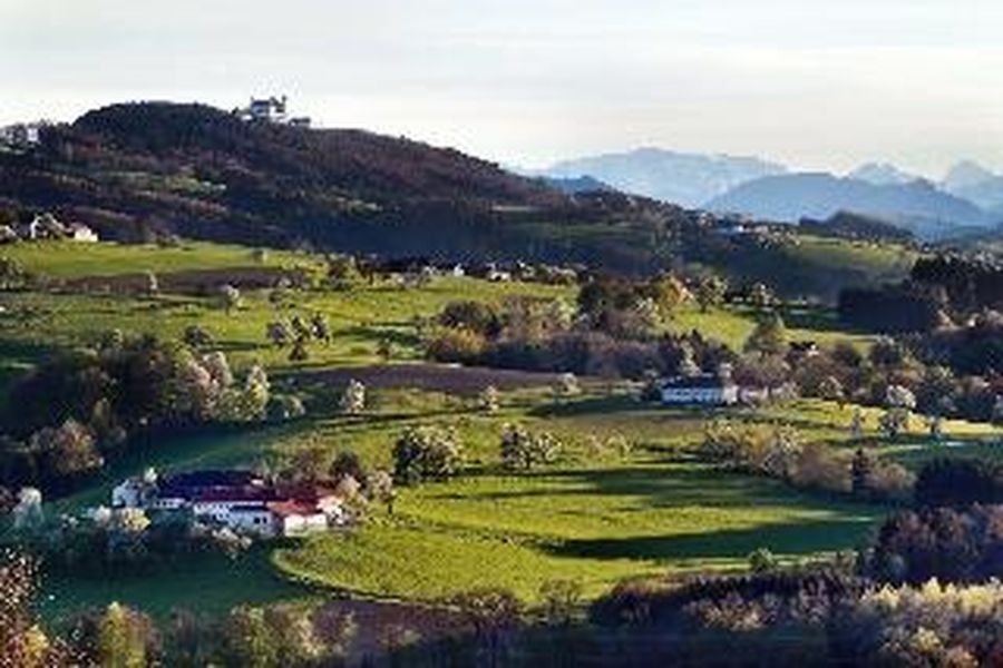 foto-3