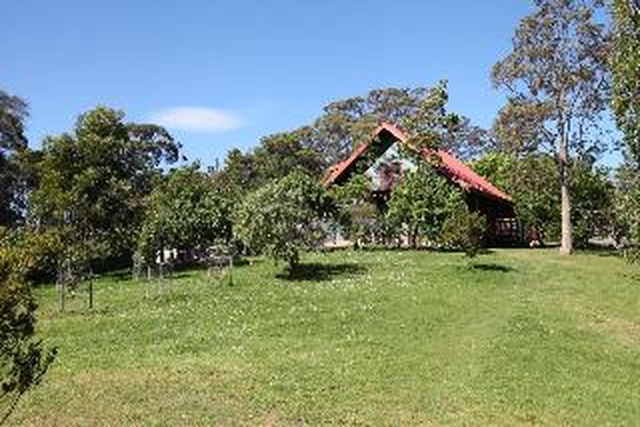 photo-0