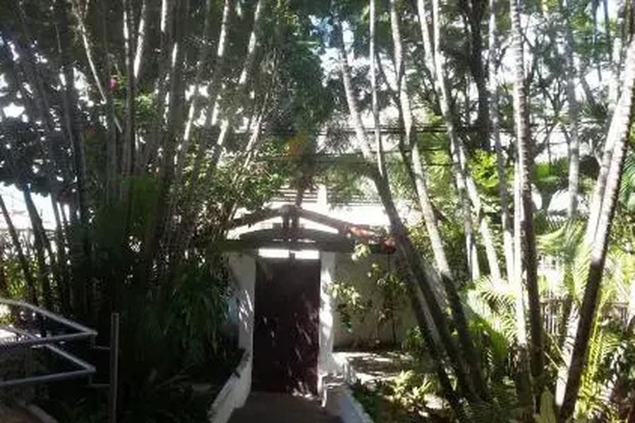 foto-1