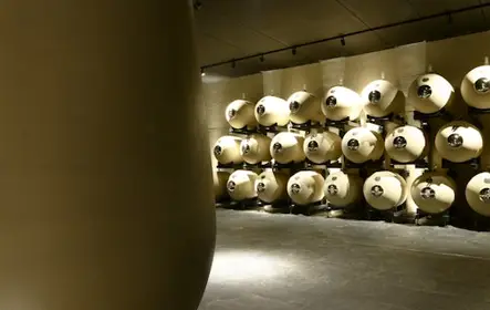 Verona: visita al viñedo Vapolicella + cata de vinos con almuerzo