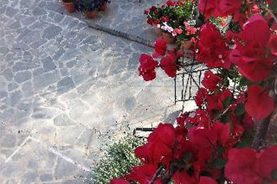 foto-1