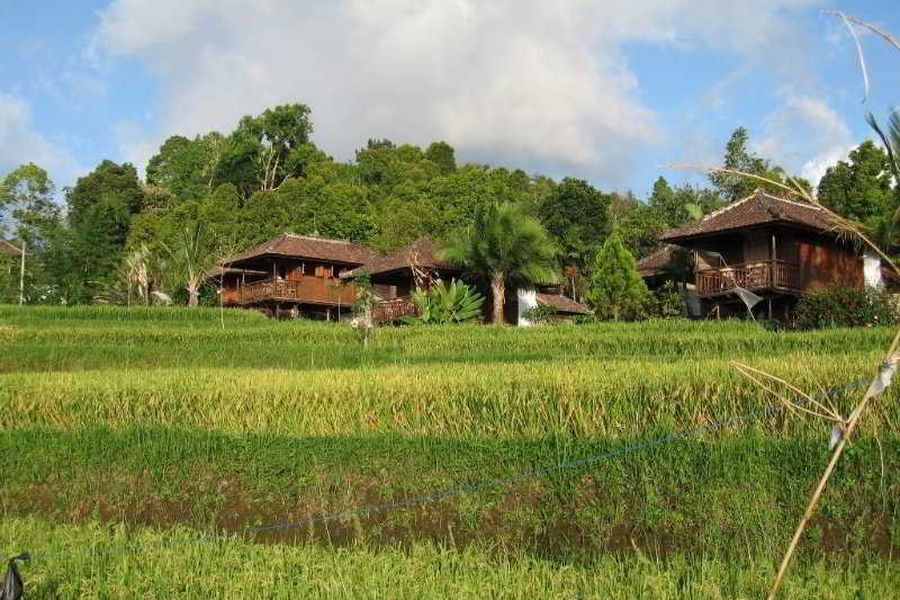 foto-2