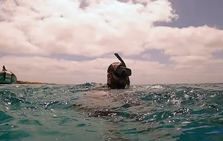 Tour de snorkel en Cabo Verde desde Sal