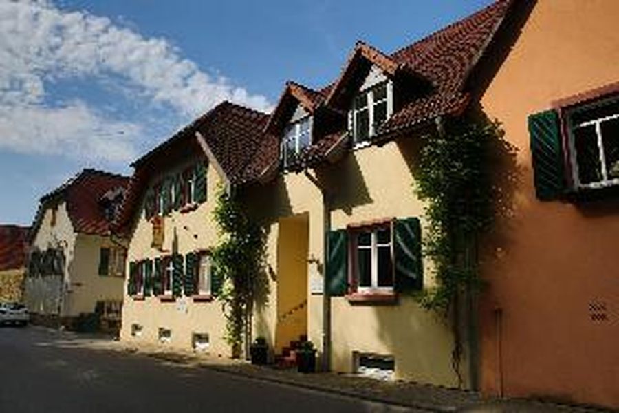 photo-1