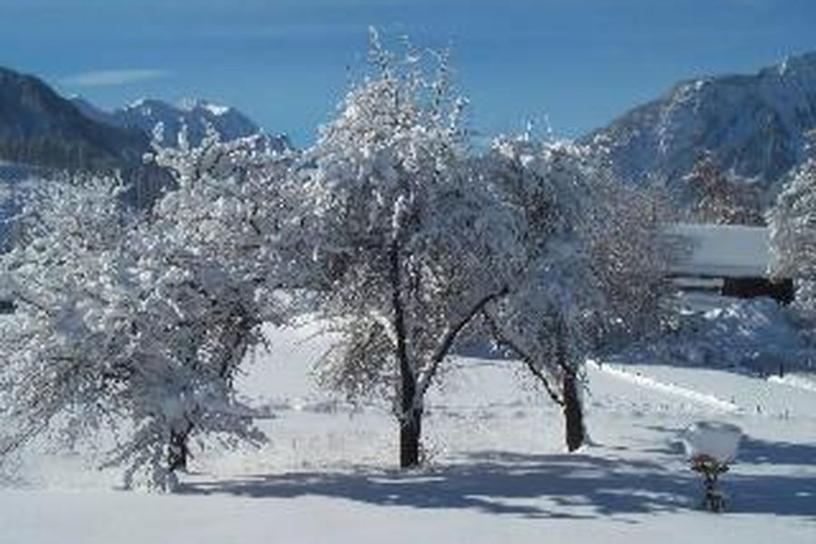 foto-1