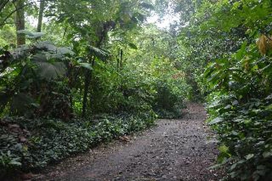 foto-3