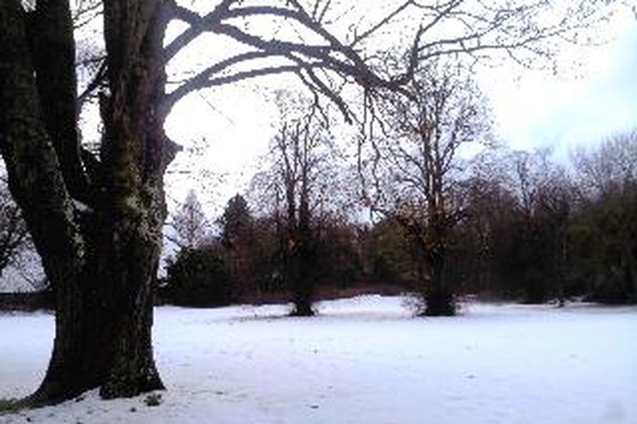 foto-2