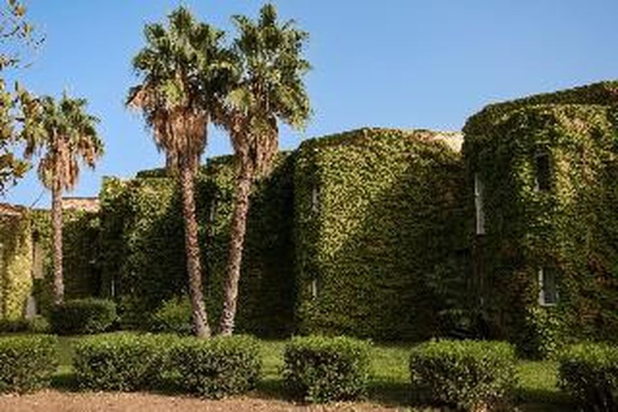 photo-2