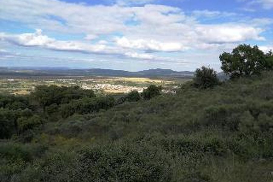 photo-3