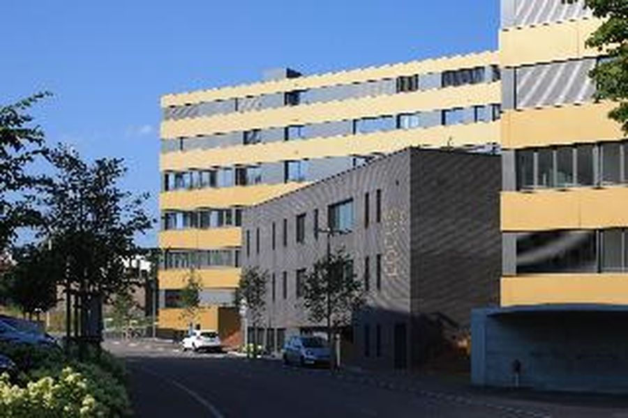 photo-1