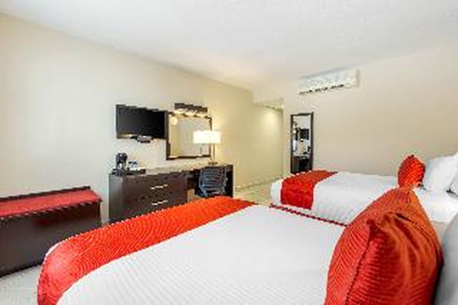foto-2