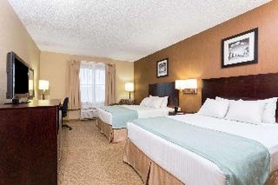 photo-1
