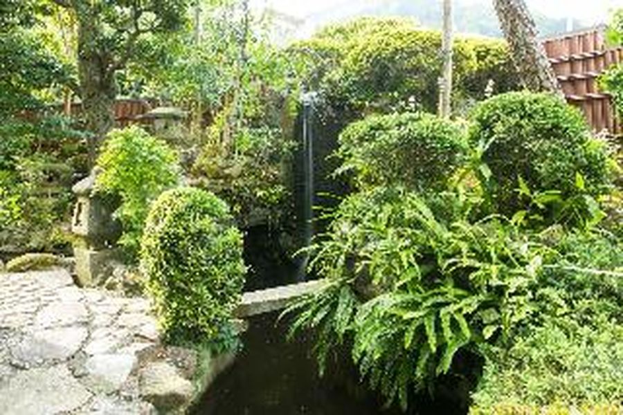 foto-3