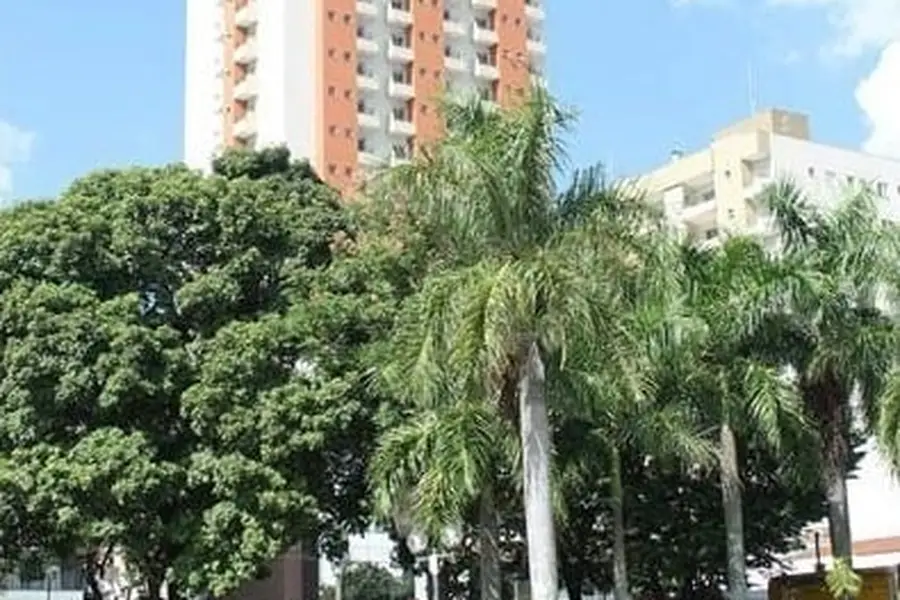 foto-1