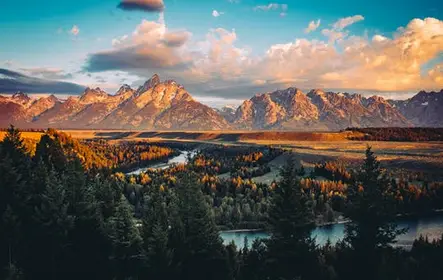 Summer and fall wildlife sunrise safari from Jackson Hole