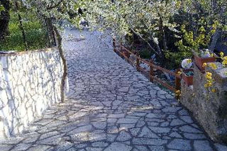 foto-2