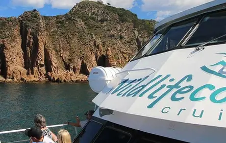 Cruzeiro no Cabo Woolamai saindo de San Remo
