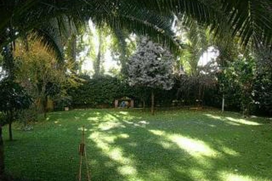 foto-3