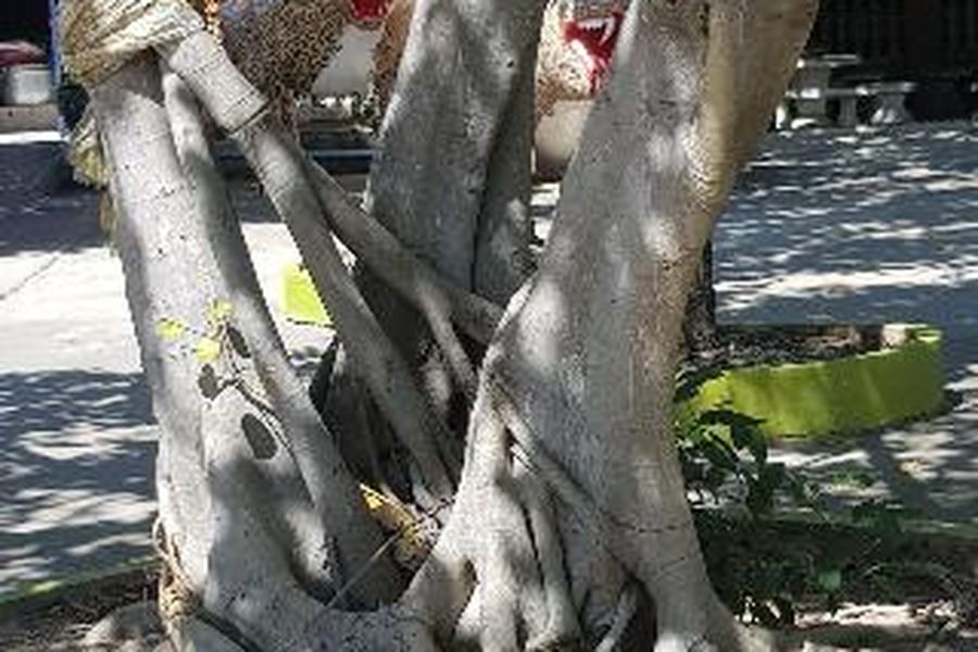 foto-3