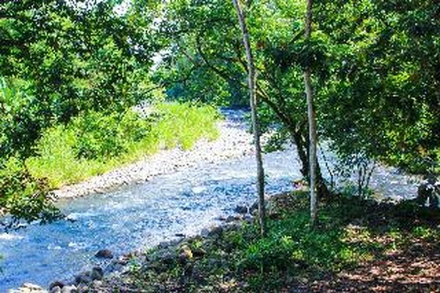 photo-2