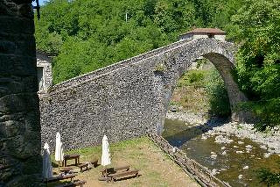foto-1