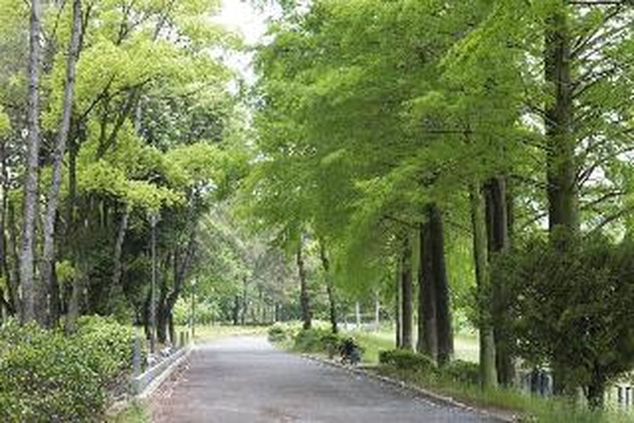 foto-2