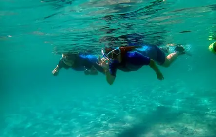 Viagem de mergulho com snorkel na Ilha Tabarca saindo de Santa Pola