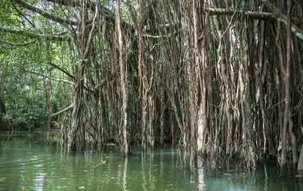 A Zona Perdida Amazônia e Cidade Velha de Khao Lak