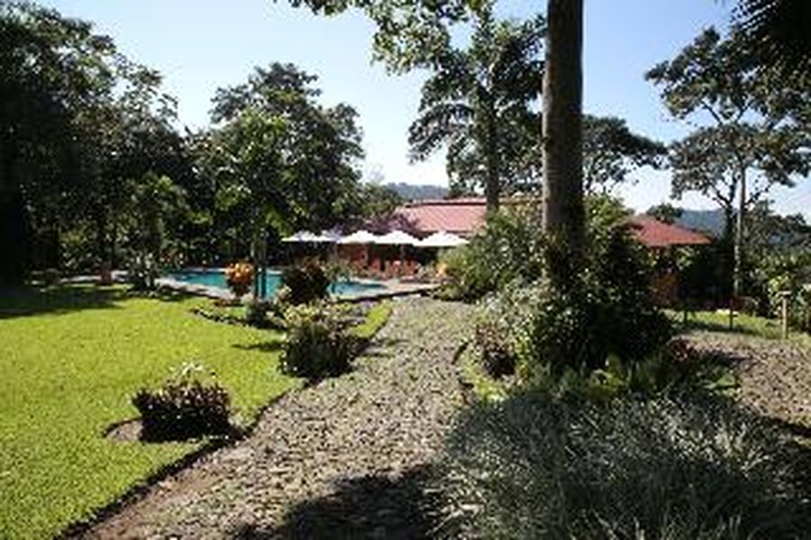 photo-3