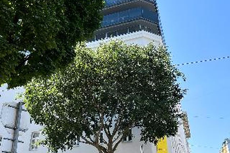 photo-2