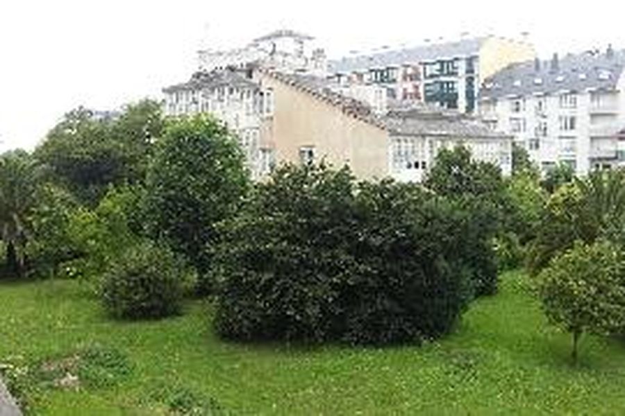 foto-1