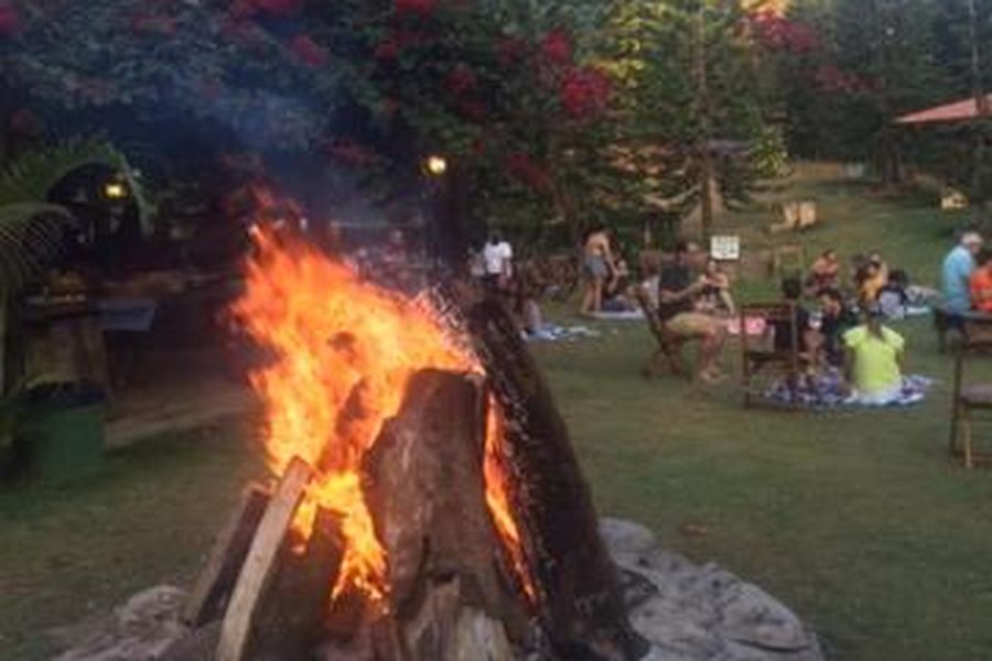 photo-3