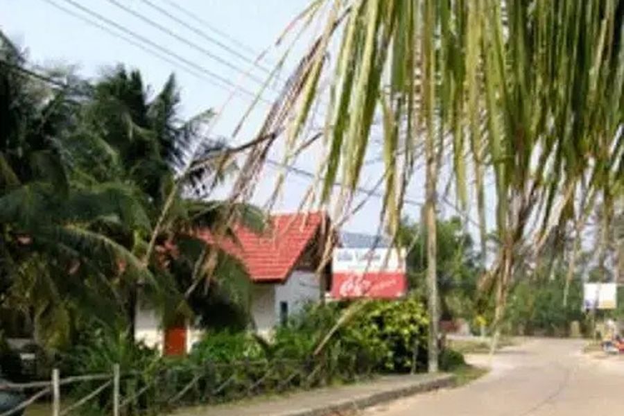 foto-1