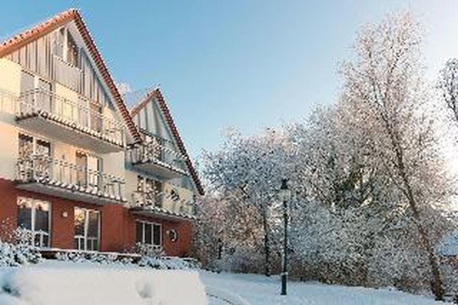 foto-1