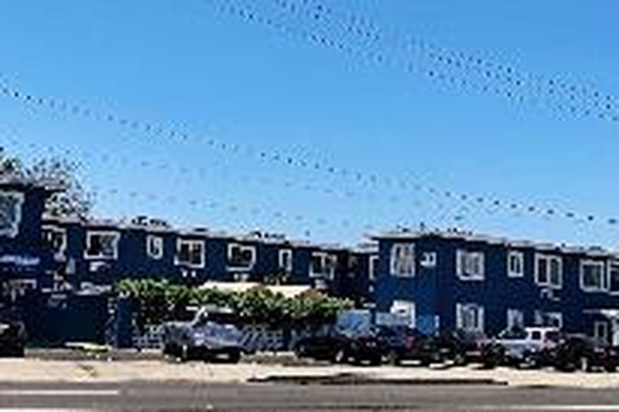 foto-1