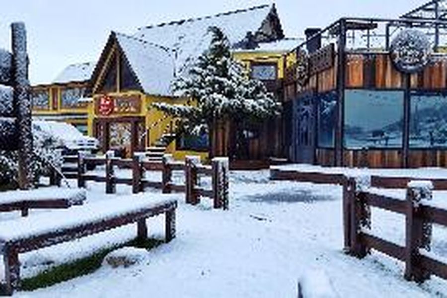 photo-1